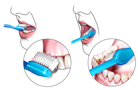 How to brush your teeth properly